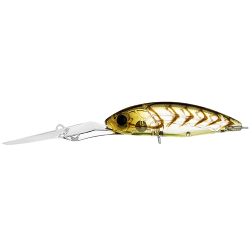 Daiwa Infeet Spike 53EXDR BROWN SUJI UV