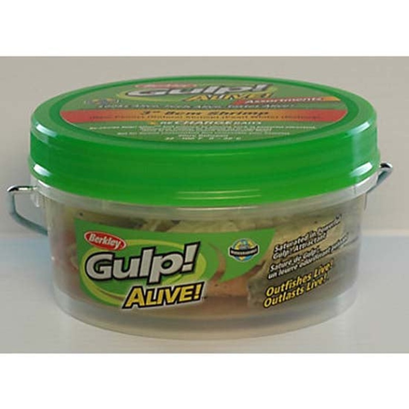 Berkley Gulp Alive Shrimp 11oz Bucket ASSORTED
