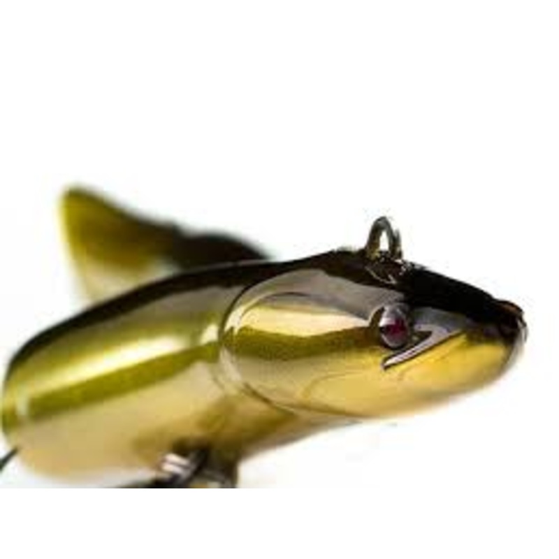 MEGABASS Eeler – 235 mm Avocado Scarlet