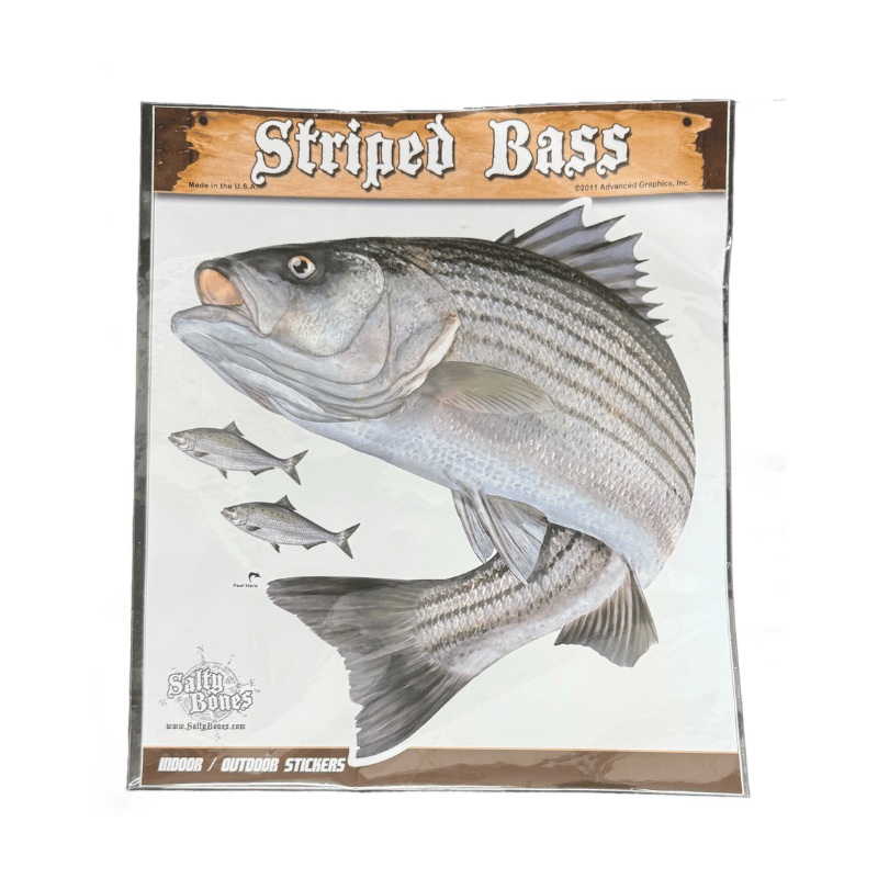 Salty Bones Striped Bass Sticker 10.5″x13.5″