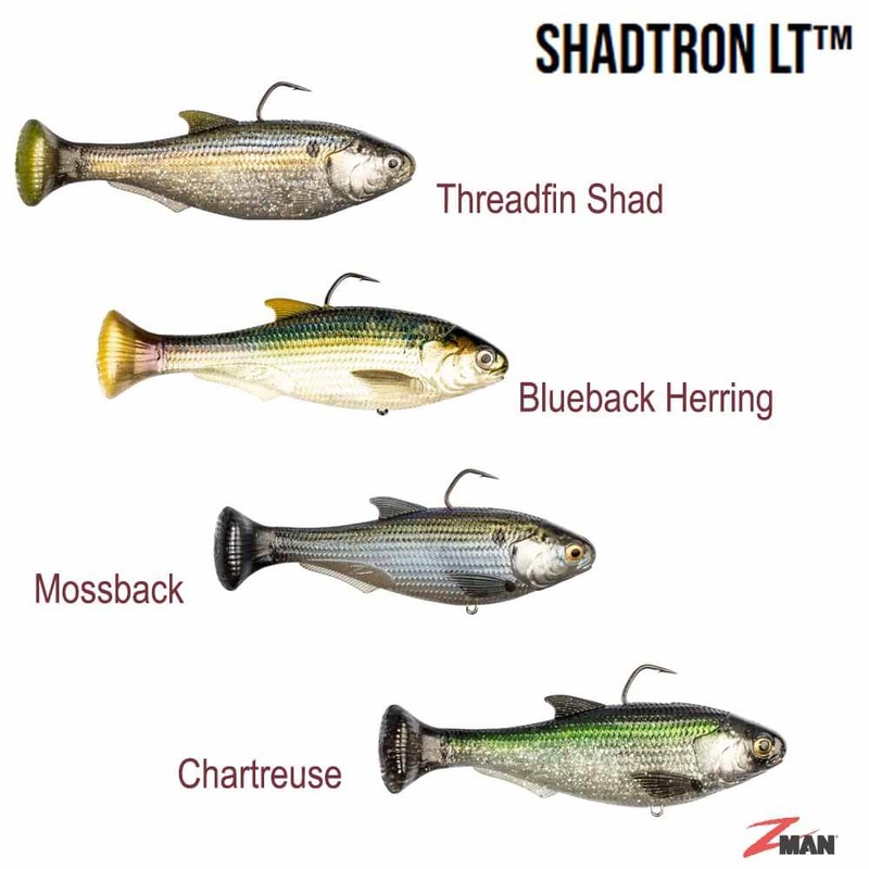Z-Man Shadtron Fast Sink LT BLUEBACK HERRING 4.5″