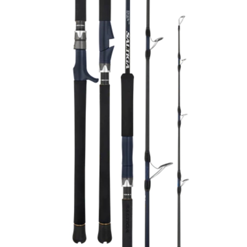 Daiwa 25 Saltiga J S55-4/6